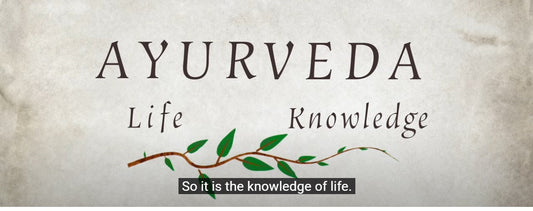 Ceylon Cinnamon's Role in Ayurveda