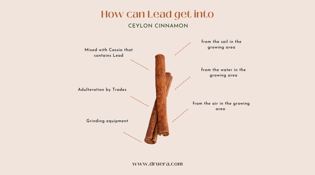 The Hidden Danger of Lead in Cinnamon & Brands to avoid