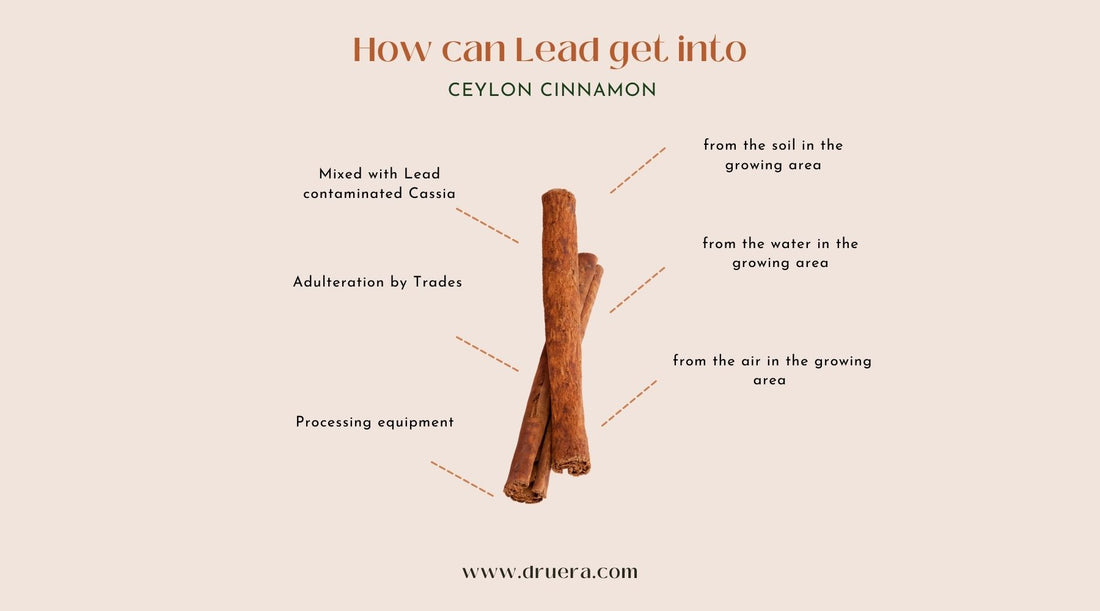 Lead in Cinnamon