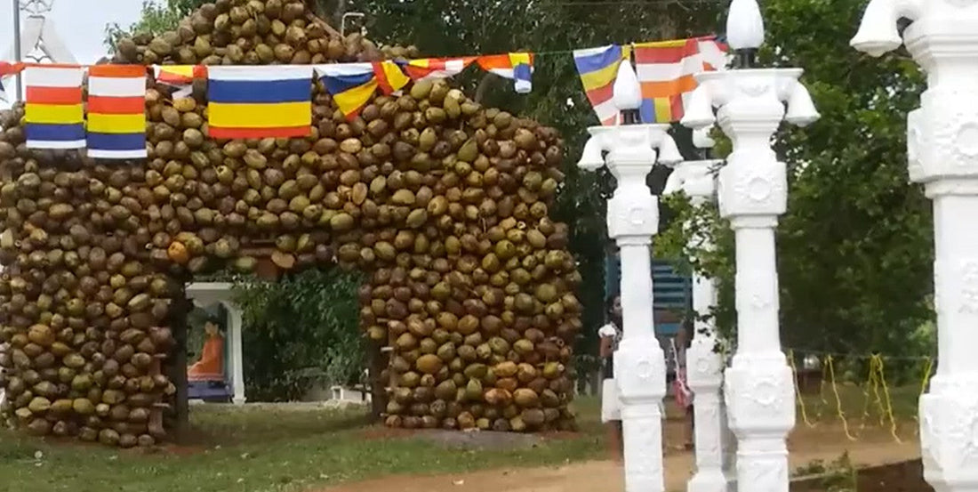 The Economic Ripple Effect of Cinnamon in Kalawana