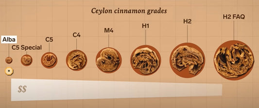 What is Alba Ceylon Cinnamon?