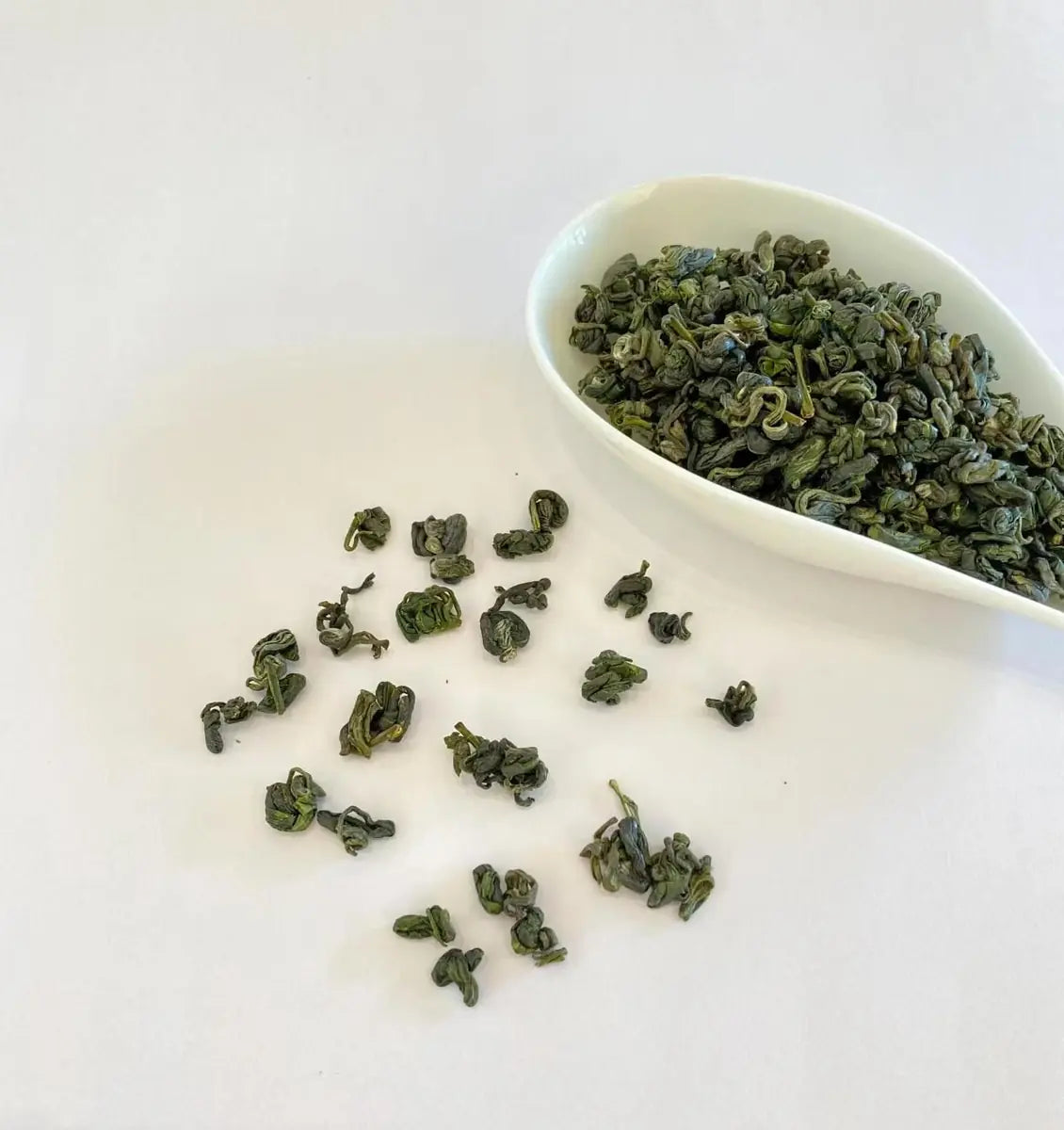 Freshly harvested Young Hyson Tea