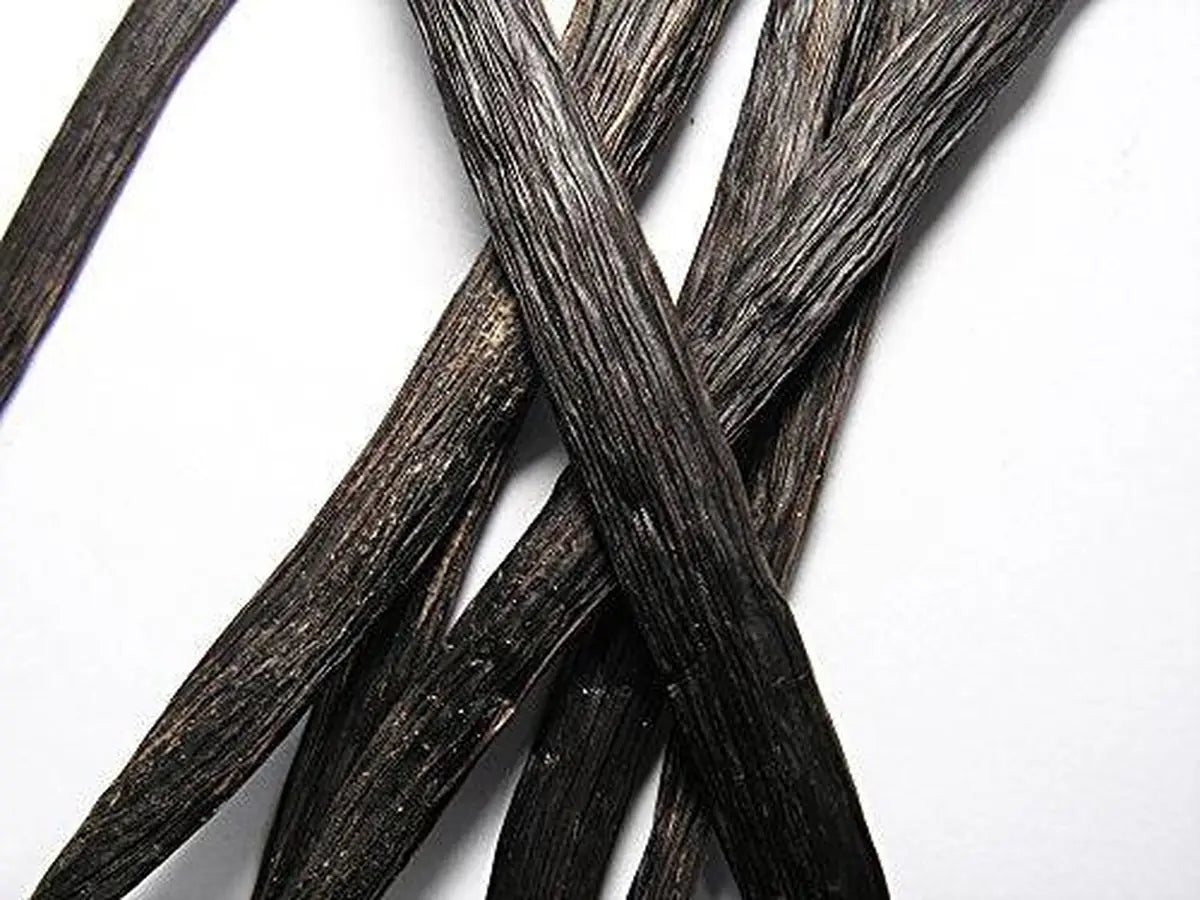 Plump oily Vanilla Beans